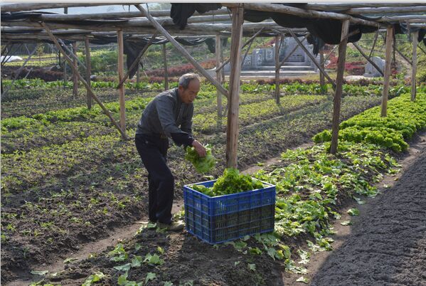 ������һ���ɹ�����Ч���������Ĵ�ͳ�Ļ�����ģʽ