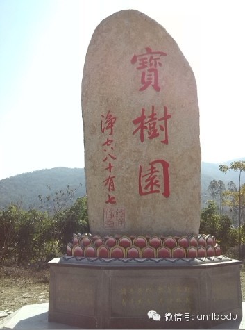 ���ء�һ���ɹ�����Ч���������Ĵ�ͳ�Ļ�����ģʽ��