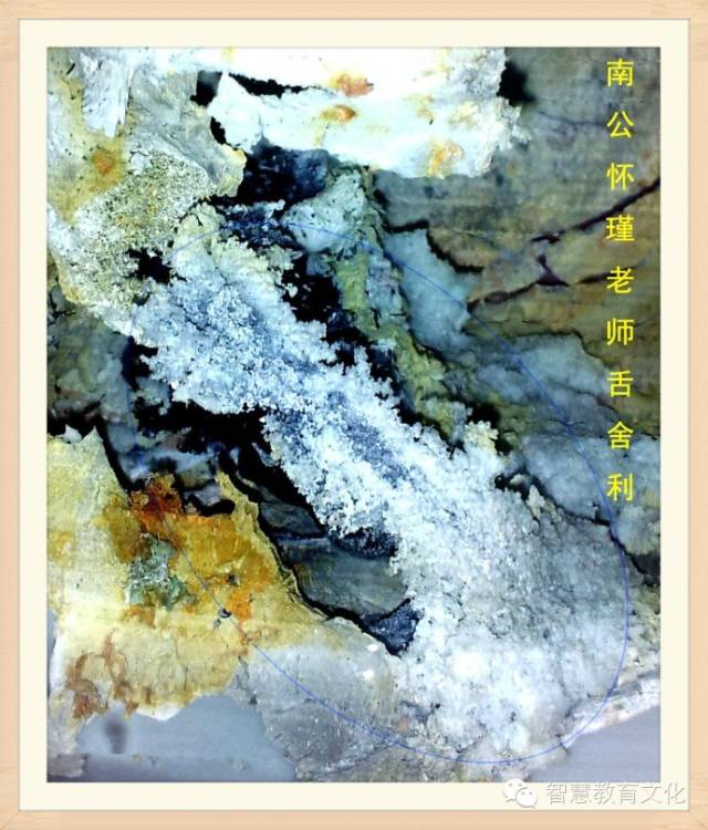 �ϻ����ʦ��������������ͷ�ǹ�������Ƭ