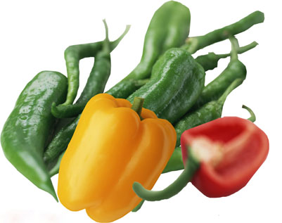 春节后,怎么快速恢复吃之前的身材! 春节后,怎么快速恢复吃之前的身材!