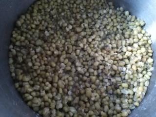 �����̶���_�����������ղأ�