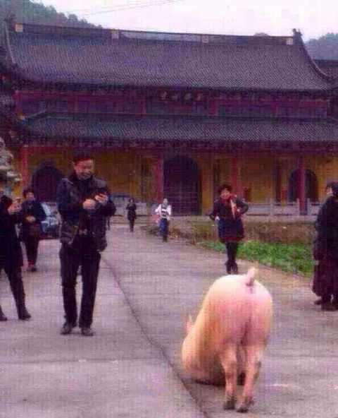 (����ԭ������������ɱǰһ�죬��ȥ��Ժ��������