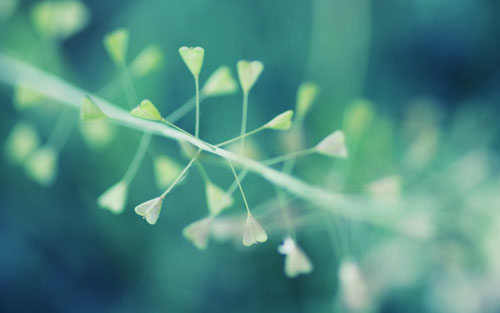 ��ΰ��Ľ�������Ȼ�����������ƽ��