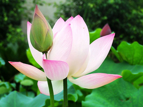 ����������Ĳ����ٴ����ˣ��Ҷ�����ʮ������