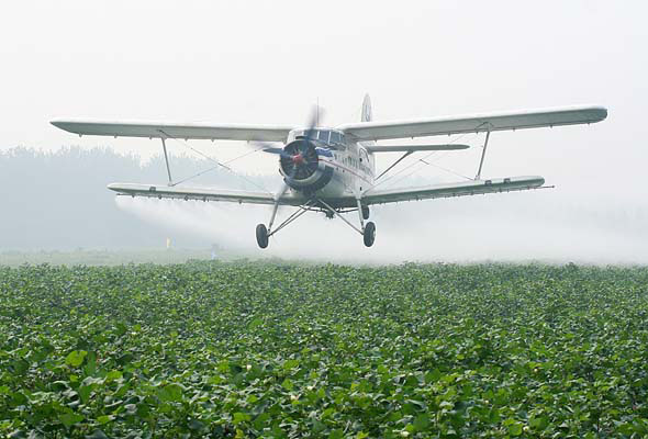2分钟去掉饭菜农药,果断转! 2分钟去掉饭菜农药,果断转!