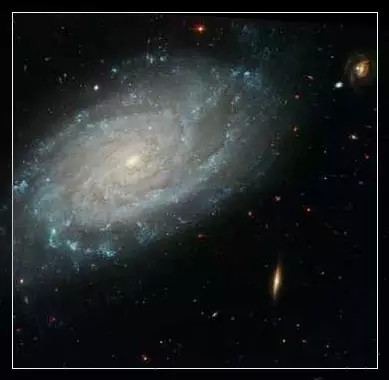 ������д��������ϵ�������������Զ��ͷ�Աȣ���ͼ��