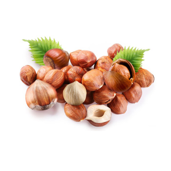 掌管健康的6种神奇坚果 掌管健康的6种神奇坚果