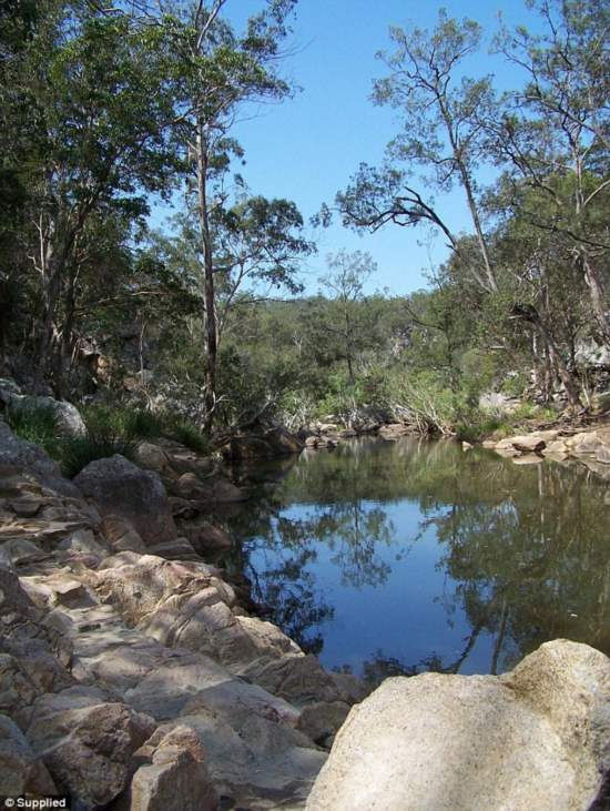 澳大利亚一家人游泳合影惊现百年前溺亡女孩 澳大利亚一家人游泳合影惊现百年前溺亡女孩