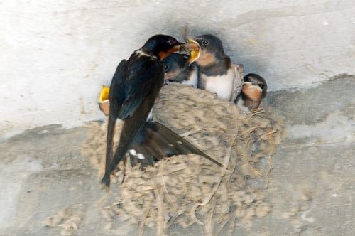 ������ûѧ��ǰ�������޲��磻ѧ����Ҳ������