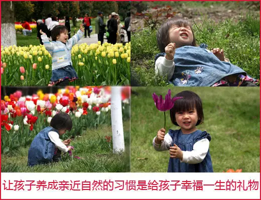 ������ú���12��ǰ�������ӣ����ǽ��������棡