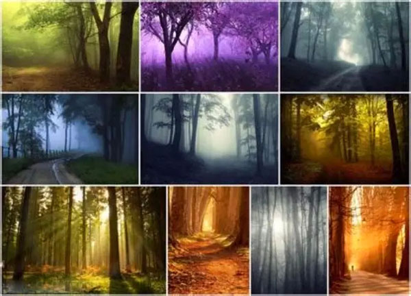 ѧ�ᡰ���䡱���������ǻ�