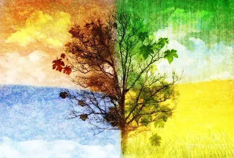 译稿_|_佛教徒眼中的抗抑郁方略 译稿_|_佛教徒眼中的抗抑郁方略