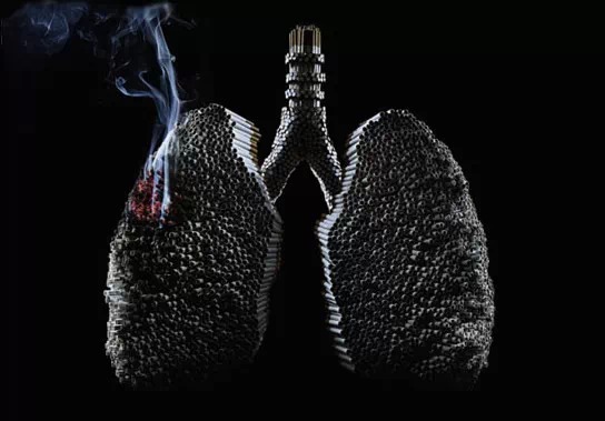 �����ڿ����������ߵķ�_�����������𣿸��������̵��˿���