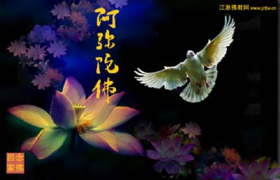 因果实例告诉我们:好有好报,恶有恶报,时辰一到,即刻报到 因果实例告诉我们:好有好报,恶有恶报,时辰一到,即刻报到