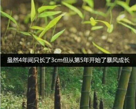 ����������ѧ���˲��ɾͶ�����Ϊû�����ǡ�3���ס���