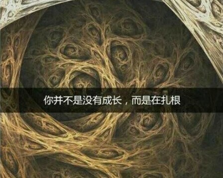 ����������ѧ���˲��ɾͶ�����Ϊû�����ǡ�3���ס���