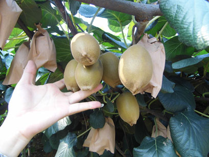 ��ҽ����ˮ��������