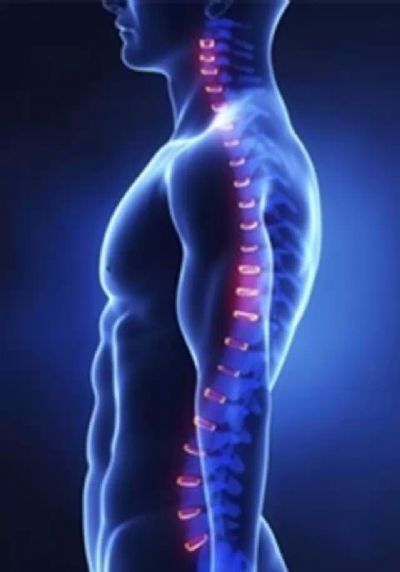 ��������������ļ�������10�꣬�������ӳ�30�ꡪŤ����