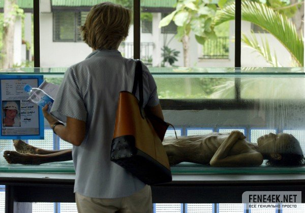 ����������ڡ�_���̲�_���ˣ���Ŀ���ģ���Īа����