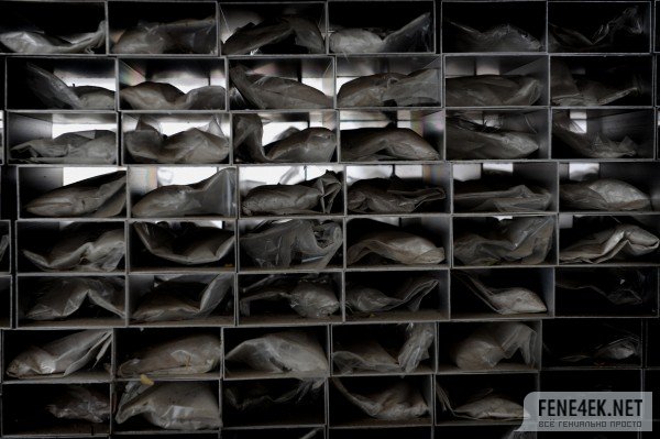 ����������ڡ�_���̲�_���ˣ���Ŀ���ģ���Īа����