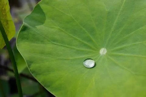 ����ʿ̸�˾�������~������������ʲô��