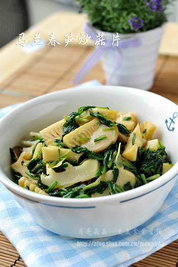 最鲜嫩的时令菜_马兰春笋炒菇片 最鲜嫩的时令菜_马兰春笋炒菇片