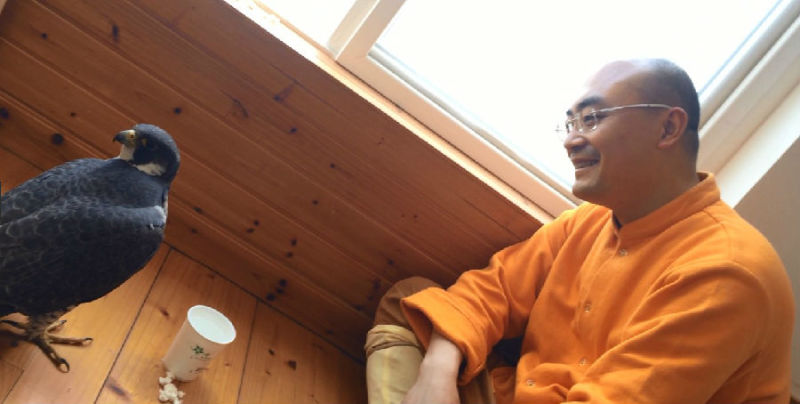 һĻ���ھ�̾���ѵĳ�����ӥ�����