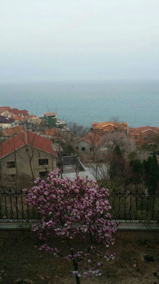 һĻ���ھ�̾���ѵĳ�����ӥ�����