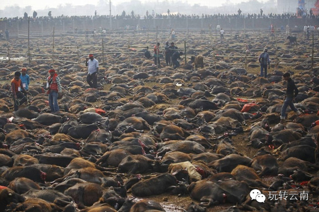 �Ჴ���ⳡ���Ѿ���żȻ��������ҵ����