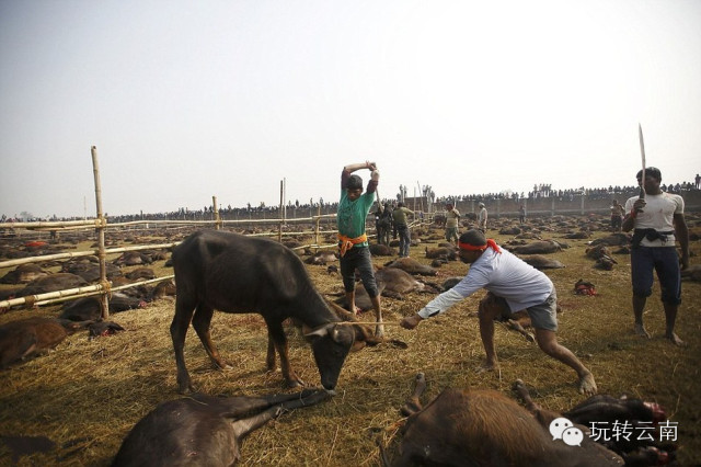 �Ჴ���ⳡ���Ѿ���żȻ��������ҵ����