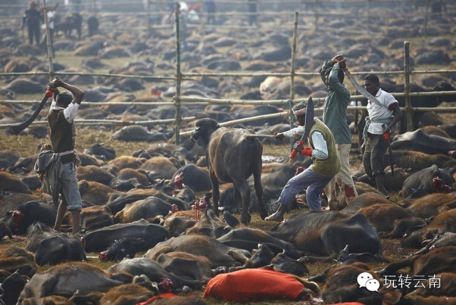 �Ჴ���ⳡ���Ѿ���żȻ��������ҵ����