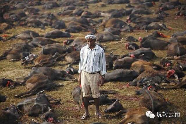 �Ჴ���ⳡ���Ѿ���żȻ��������ҵ����