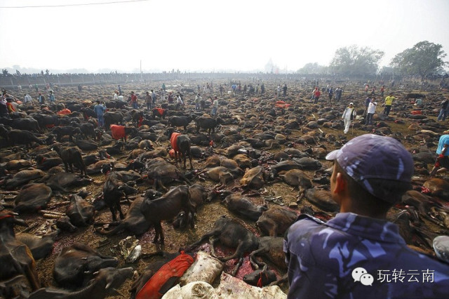 �Ჴ���ⳡ���Ѿ���żȻ��������ҵ����