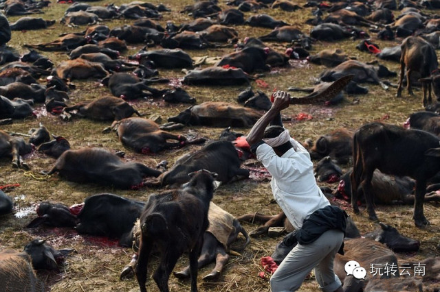 �Ჴ���ⳡ���Ѿ���żȻ��������ҵ����