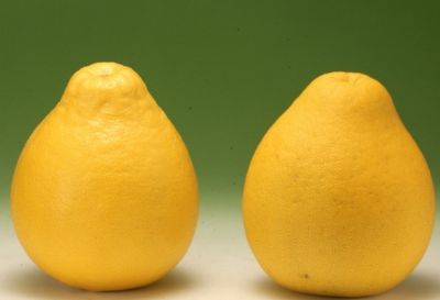 �����Ӿ�����ô��ô������귢���Լ�������������ӣ�