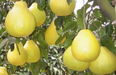 �����Ӿ�����ô��ô������귢���Լ�������������ӣ�