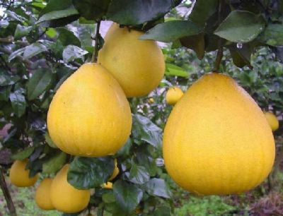 �����Ӿ�����ô��ô������귢���Լ�������������ӣ�