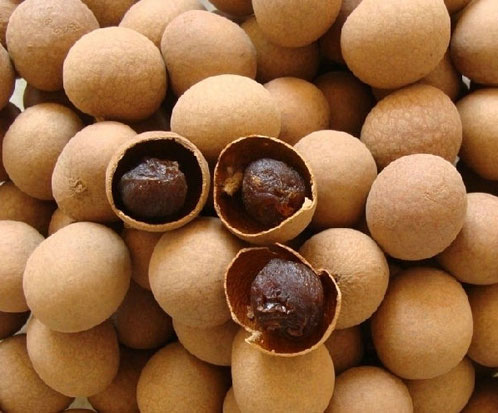 �������ز��ܽ��������β�ʿ������_��ӡ���ʦ����ʳ���飩