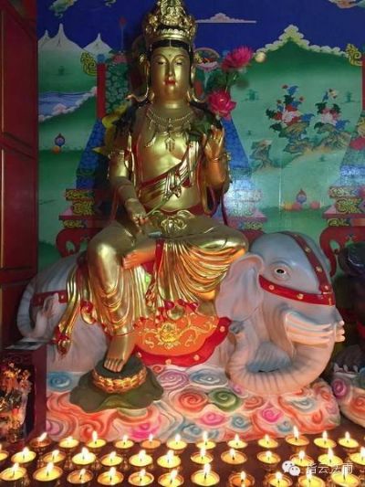 ���������ٰͻ���ڰ�����̶��Ϊ������������