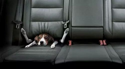 用贪污的钱做慈善,能功过相抵吗?——请问,索达吉堪布 用贪污的钱做慈善,能功过相抵吗?——请问,索达吉堪布