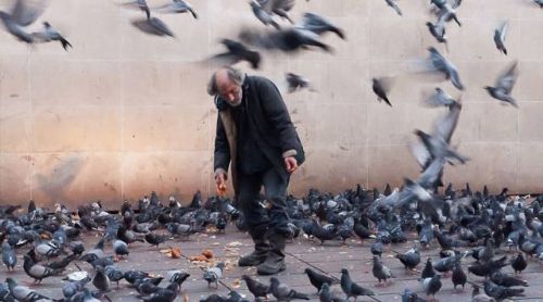 用贪污的钱做慈善,能功过相抵吗?——请问,索达吉堪布 用贪污的钱做慈善,能功过相抵吗?——请问,索达吉堪布