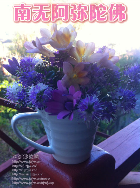 Ů���ӻ�˥��18��С����