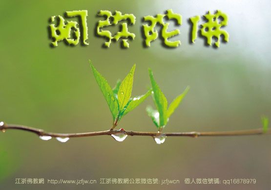 ���巨ʦ����ϲ�Ǻ��⣬��ϲ�кι��£�