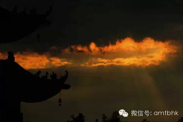 《净土易行道万修万人去》──定弘祖母往生的启示 《净土易行道万修万人去》──定弘祖母往生的启示