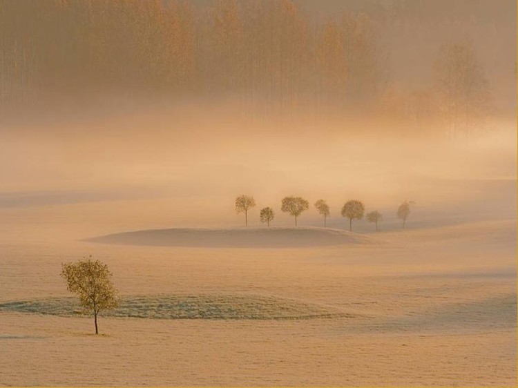 ÿһ���߽��������е��˶�������İ���