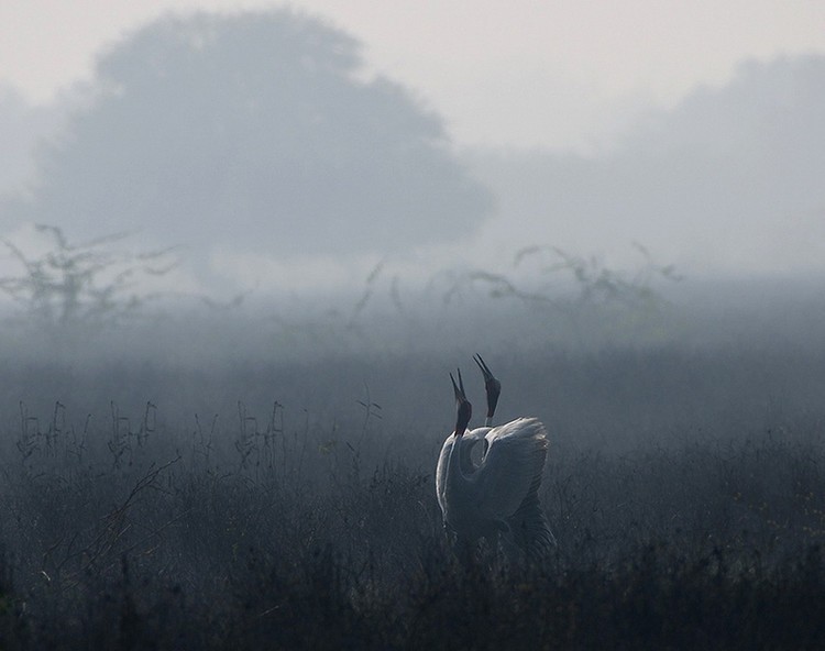 ÿһ���߽��������е��˶�������İ���