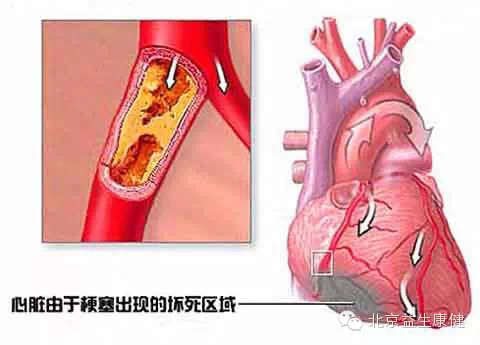 ������������⣴�����źš�ҪС���ˣ�˵�����Ѫ̫��ˣ���