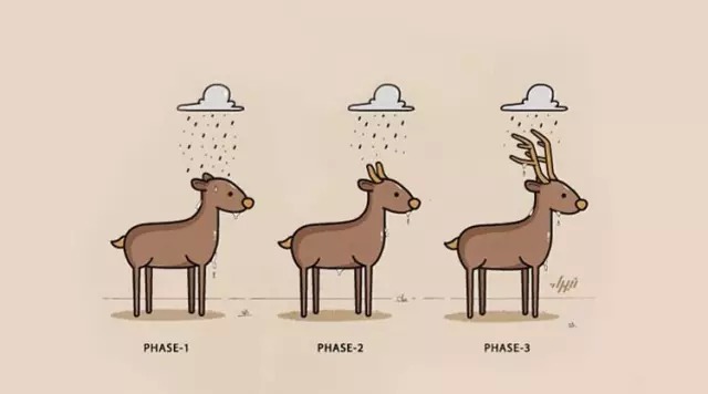 ���Ｊ��������ѧУ�������Ե�Ϊ����