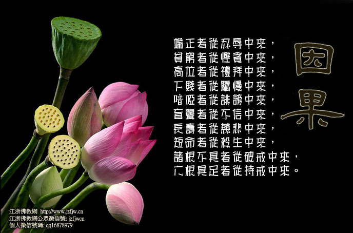 拍照发现女子变为另外一个人,数月后她被杀…… 拍照发现女子变为另外一个人,数月后她被杀……