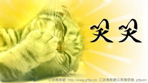 ��Ц���������